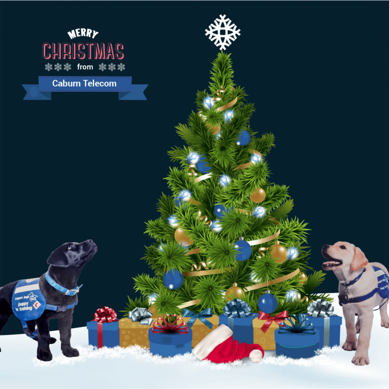 Support dogs around a Christmas tree