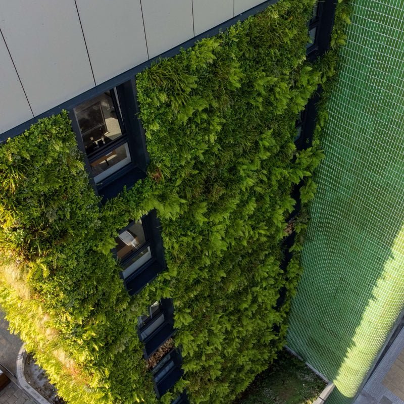 A tall building that's sustainable