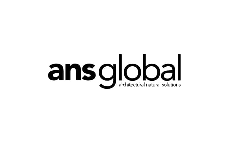 ANS Global logo