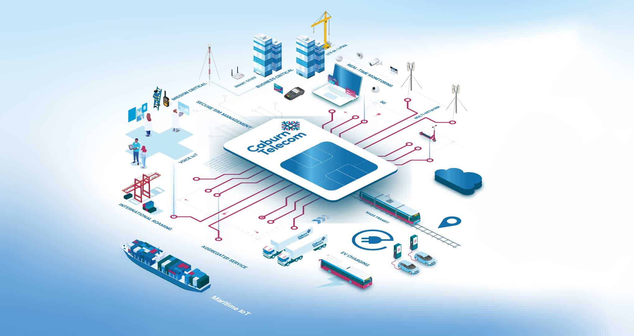 Multi-network IoT SIM design